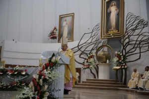 kardynał stanisław dziwisz
